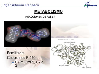 METABOLISMO
REACCIONES DE FASE I
Familia de
Citocromos P 450
 CYP1, CYP2, CYP
3
 
