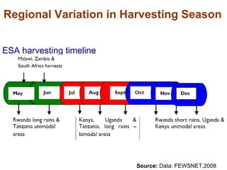 Responding to Rising Food Prices in Eastern and Southern Africa