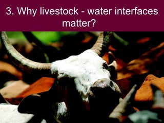 Swimming Upstream The Livestock – Water Nexus, November 2008