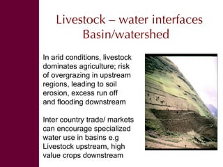 Swimming Upstream The Livestock – Water Nexus, November 2008
