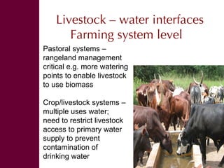 Swimming Upstream The Livestock – Water Nexus, November 2008
