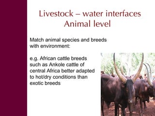 Swimming Upstream The Livestock – Water Nexus, November 2008