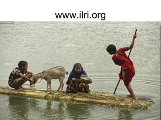 Swimming Upstream The Livestock – Water Nexus, November 2008