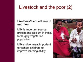 Future research needs to meet livestock development challenges