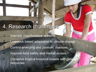 Future research needs to meet livestock development challenges