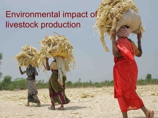 Future research needs to meet livestock development challenges