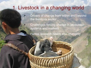 Future research needs to meet livestock development challenges