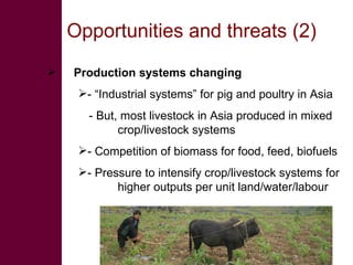 Future research needs to meet livestock development challenges