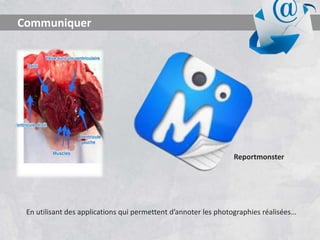 En utilisant des applications qui permettent d’annoter les photographies réalisées…
Communiquer
Reportmonster
 