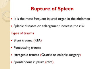 Spleen Rapture Comprehensive Overview of Splenic Diseases: Anatomy, Pathology, and ...