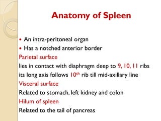 Comprehensive Overview of Splenic Diseases: Anatomy, Pathology, and ...