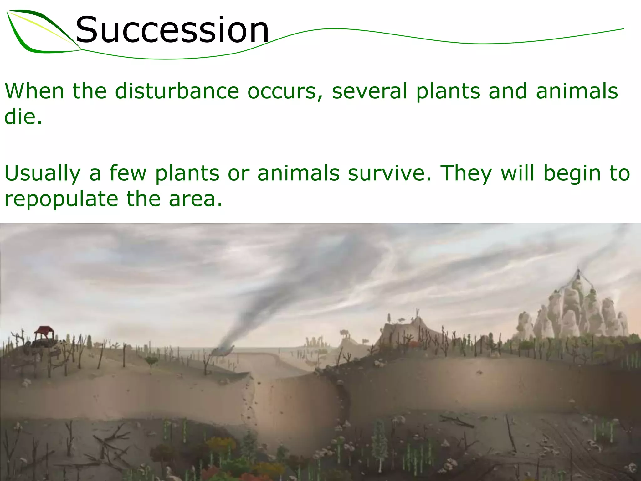 Succession
When the disturbance occurs, several plants and animals
die.
Usually a few plants or animals survive. They will begin to
repopulate the area.