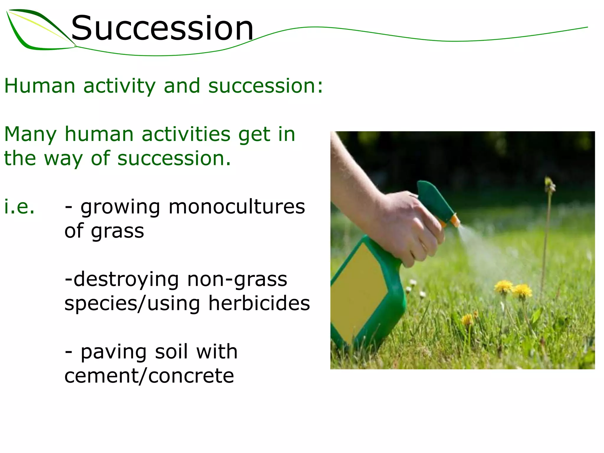 Succession
Human activity and succession:
Many human activities get in
the way of succession.
i.e. - growing monocultures
of grass
-destroying non-grass
species/using herbicides
- paving soil with
cement/concrete