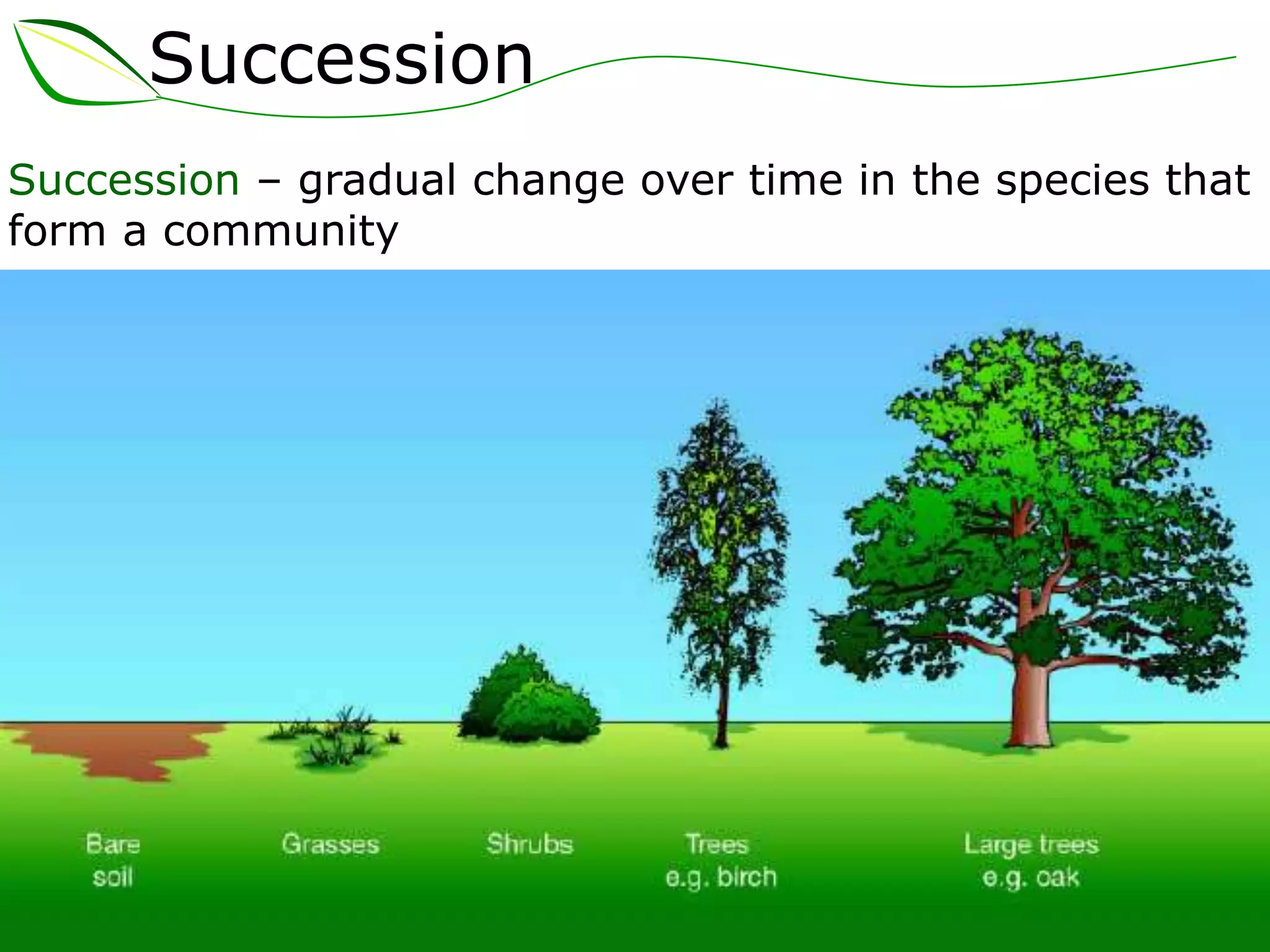 Succession
Succession – gradual change over time in the species that
form a community