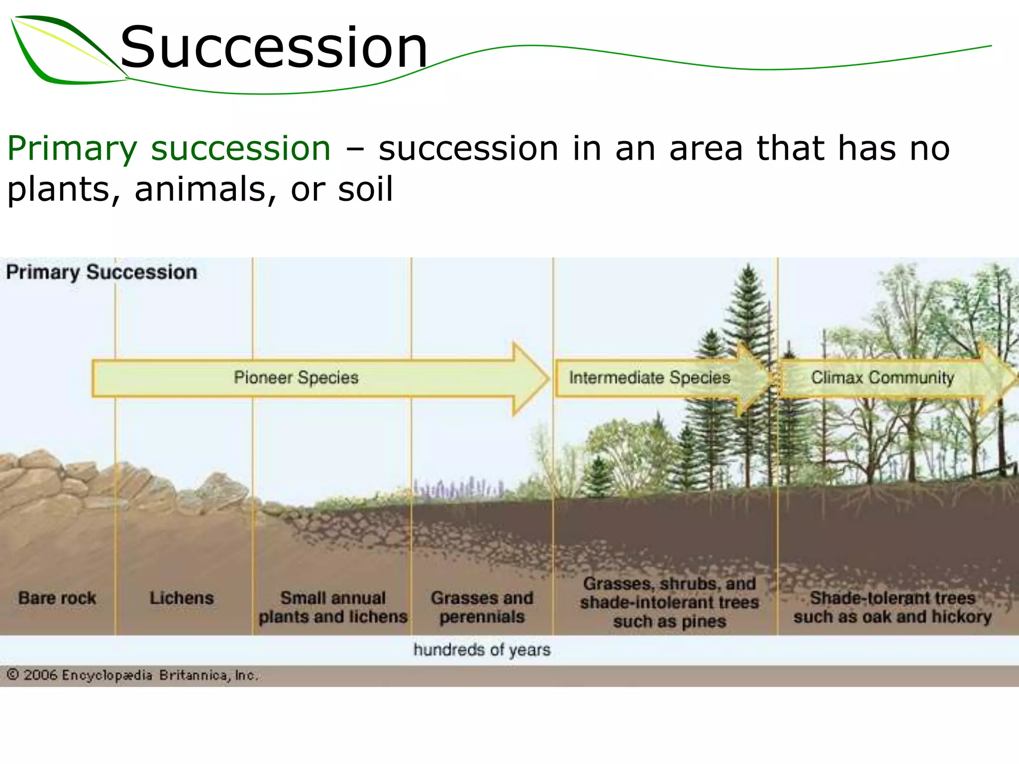 Succession
Primary succession – succession in an area that has no
plants, animals, or soil