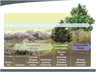 Rocha
nua Líquenes
Líquenes
Musgos
Herbáceas
anuais
Herbáceas
perenes
Gramíneas
Árvores
não
tolerantes
à sombra
Arbustos
Gramíneas
Árvores
tolerantes
à sombra
Comunidade
Clímax
Comunidade
Intermédia
Comunidade
Pioneira
Tempo
2/12
 