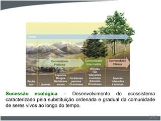 Sucessão ecológica – Desenvolvimento do ecossistema
caracterizado pela substituição ordenada e gradual da comunidade
de seres vivos ao longo do tempo.
3/12
 