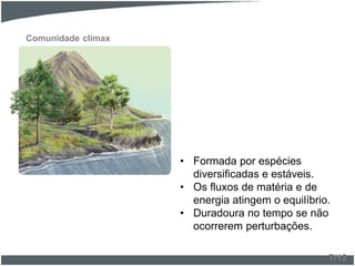 Comunidade clímax
• Formada por espécies
diversificadas e estáveis.
• Os fluxos de matéria e de
energia atingem o equilíbrio.
• Duradoura no tempo se não
ocorrerem perturbações.
7/12
 