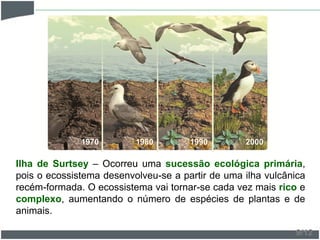 Ilha de Surtsey – Ocorreu uma sucessão ecológica primária,
pois o ecossistema desenvolveu-se a partir de uma ilha vulcânica
recém-formada. O ecossistema vai tornar-se cada vez mais rico e
complexo, aumentando o número de espécies de plantas e de
animais.
19801970 1990 2000
9/12
 