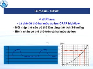 ❖ BiPhase
- Là chế độ thở hai mức áp lực CPAP high/low
- Mỗi nhịp thở sâu có thể làm tăng thể tích 3-6 ml/kg
- Bệnh nhân có thể thở trên cả hai mức áp lực
GIỚI THIỆU TỔNG QUAN CÁC SẢN PHẨM CỦA
CÔNG TY
BiPhasic / SiPAP
 