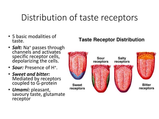 Taste.pptx