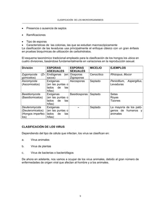 CLASIFICACIÓN DE LOS MICROORGANISMOS
______________________________________________________________________________________________________
9
• Presencia o ausencia de septos
• Ramificaciones
• Tipo de esporas
• Características de las colonias, las que se estudian macroscópicamente
La clasificación de las levaduras usa principalmente el enfoque clásico con un gran énfasis
en pruebas bioquímicas de utilización de carbohidratos.
El esquema taxonómico tradicional empleado para la clasificación de los hongos los ubica en
cuatro divisiones, basándose fundamentalmente en variaciones en la reproducción sexual.
División ESPORAS
ASEXUALES
ESPORAS
SEXUALES
MICELIO EJEMPLOS
Zygomycota (Zi-
gomicetos)
Endógenas (en
sacos)
Oosporas
Zigosporas
Cenocítico Rhizopus, Mucor
Ascomycota
(Ascomicetos)
Exógenas
(en las puntas o
lados de las
hifas)
Ascosporas Septado Penicillium, Aspergillus,
Levaduras
Basidiomycota
(Basidiomicetos)
Exógenas
(en las puntas o
lados de las
hifas)
Basidiosporas Septado Setas
Royas
Tizones
Deuteromycota
(Deuteromicetos)
(Hongos imperfec-
tos)
Exógenas
(en las puntas o
lados de las
hifas)
- Septado La mayoría de los pató-
genos de humanos y
animales
CLASIFICACIÓN DE LOS VIRUS
Dependiendo del tipo de célula que infectan, los virus se clasifican en:
a. Virus animales
b. Virus de plantas
c. Virus de bacterias o bacteriófagos
De ahora en adelante, nos vamos a ocupar de los virus animales, debido al gran número de
enfermedades de origen viral que afectan al hombre y a los animales.
 