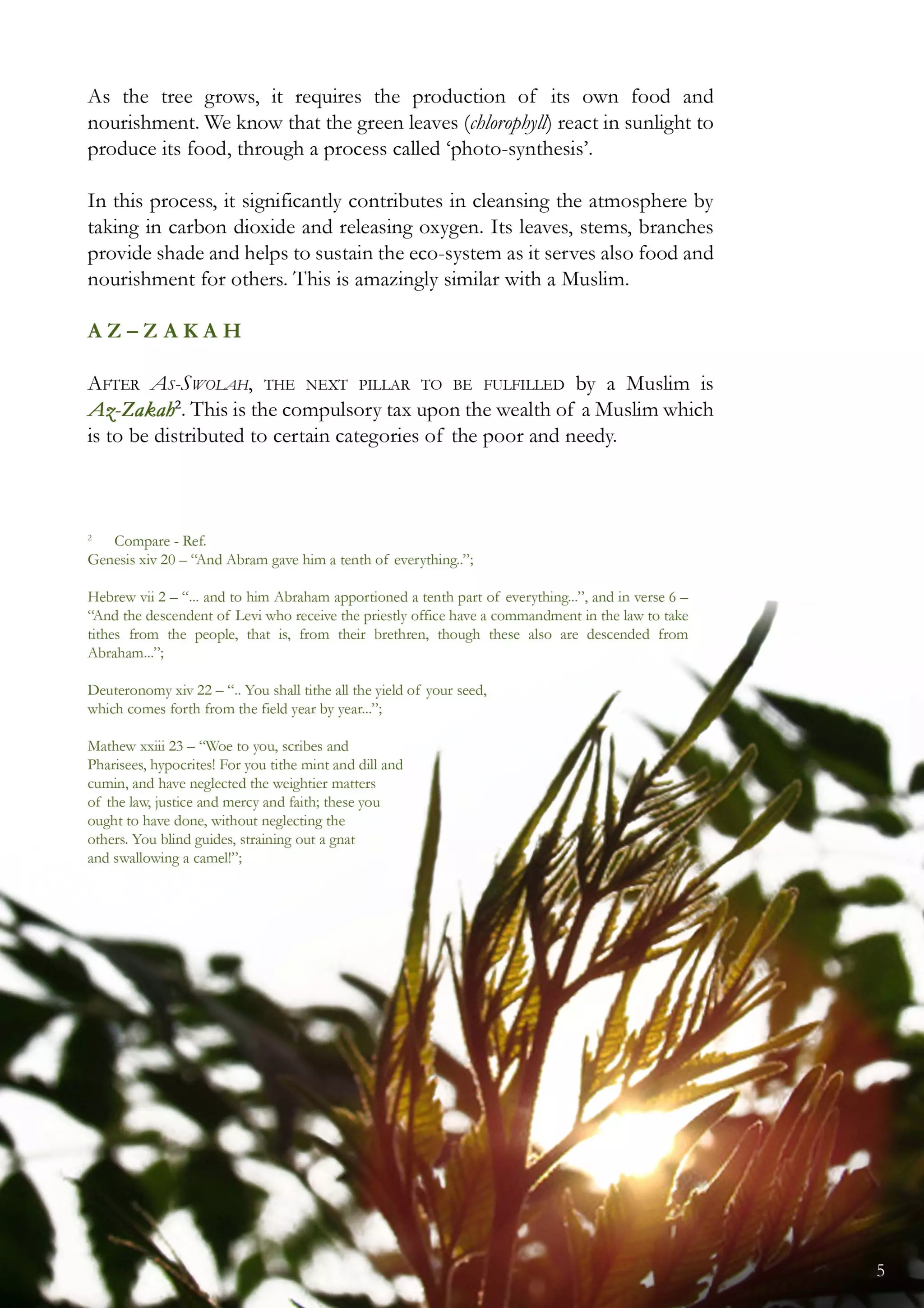 08 the parable of the tree [coloured] (1)