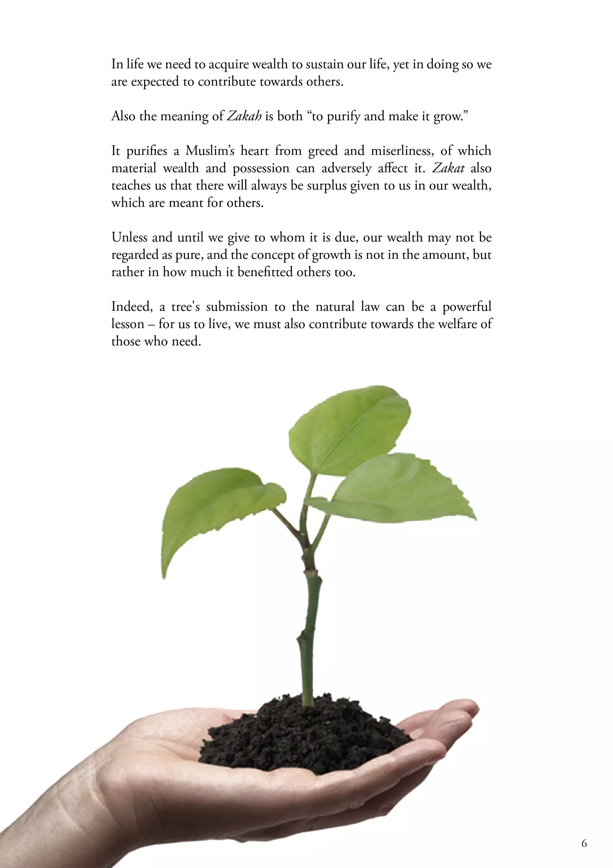 08 the parable of the tree [coloured] (1)