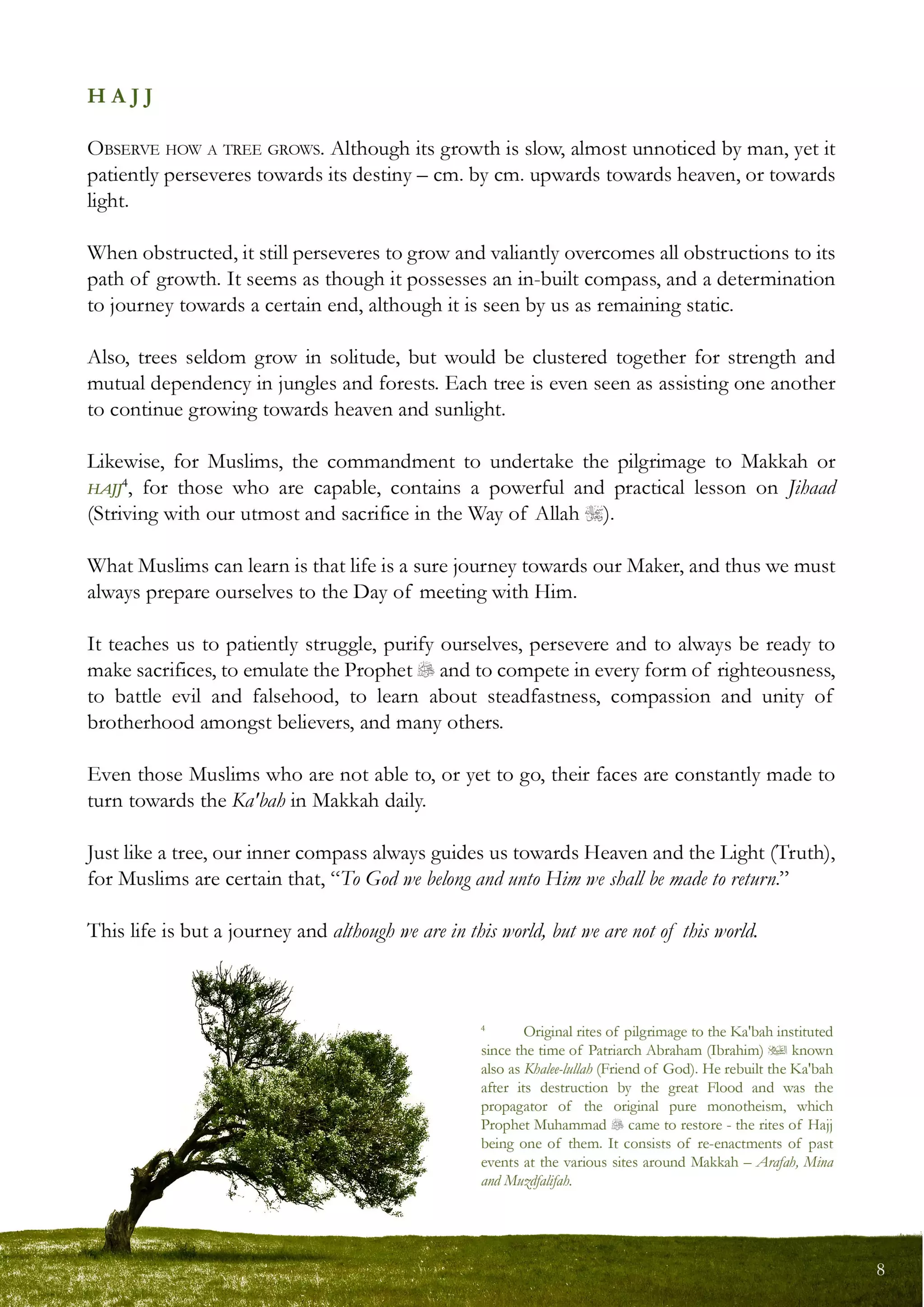 08 the parable of the tree [coloured] (1)