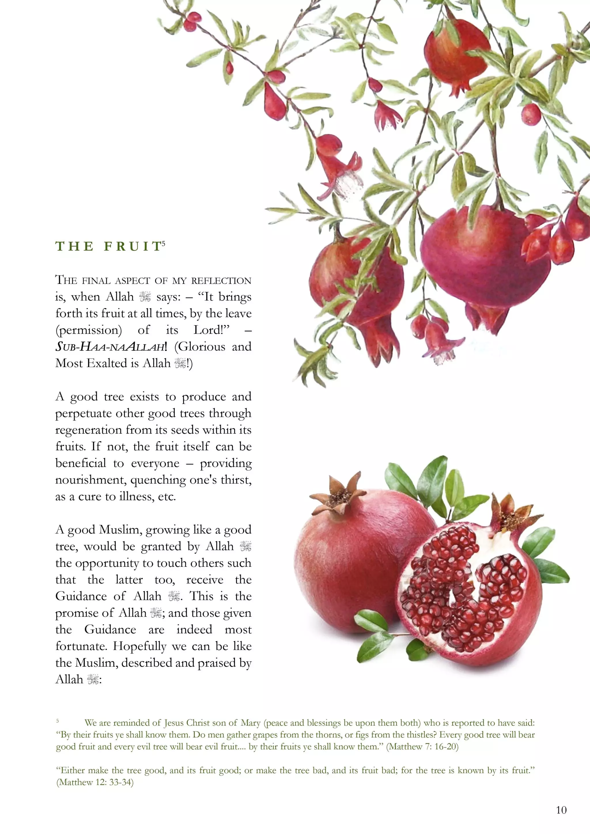 08 the parable of the tree [coloured] (1)