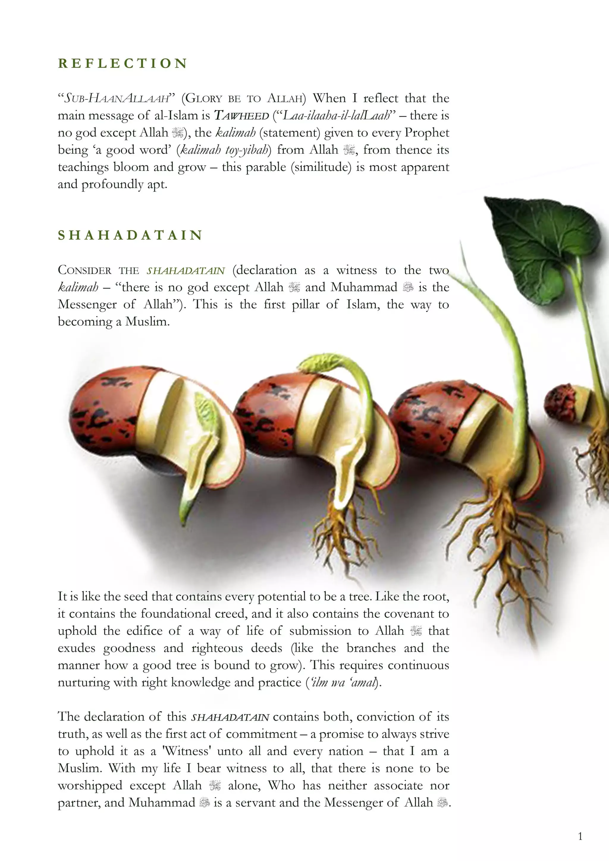 08 the parable of the tree [coloured] (1)