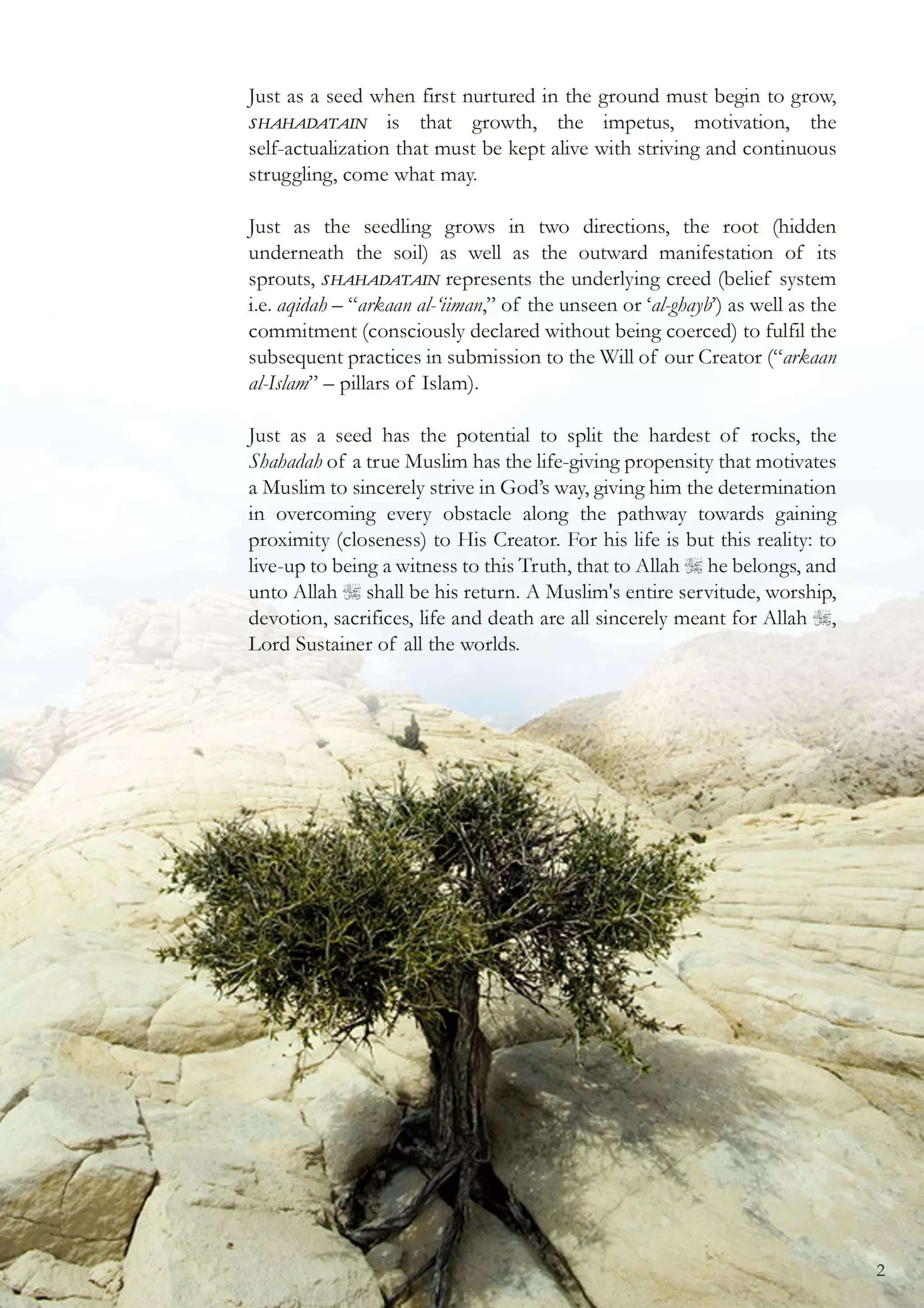 08 the parable of the tree [coloured] (1)