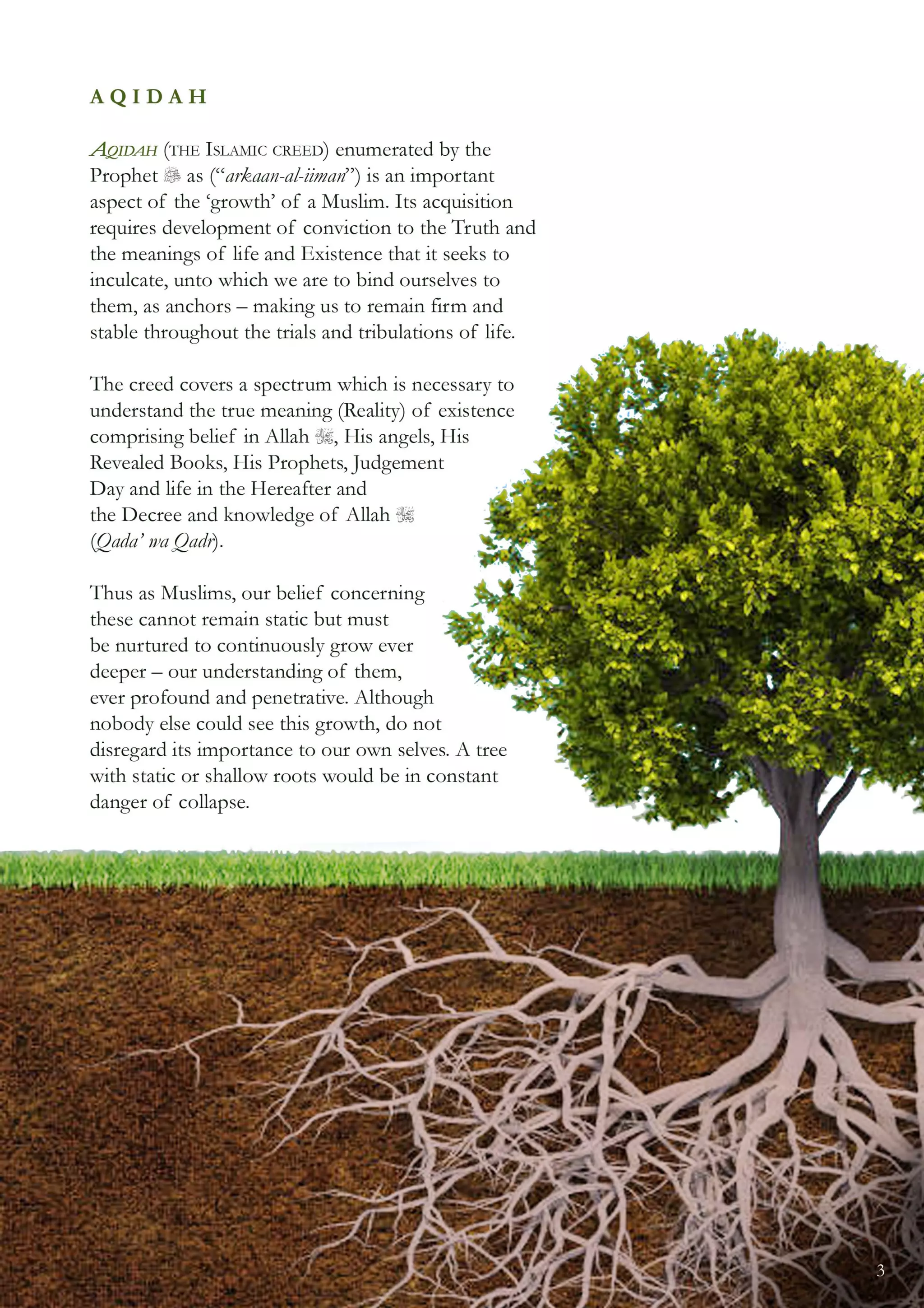 08 the parable of the tree [coloured] (1)