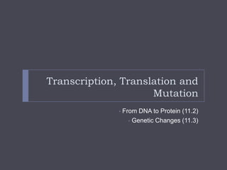 Transcription, Translation and
Mutation
•

From DNA to Protein (11.2)
• Genetic Changes (11.3)

 