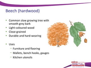 Beech (hardwood)
• Common slow growing tree with
smooth grey bark
• Light-coloured wood
• Close-grained
• Durable and hard-wearing
• Uses
− Furniture and flooring
− Mallets, bench hooks, gauges
− Kitchen utensils

 