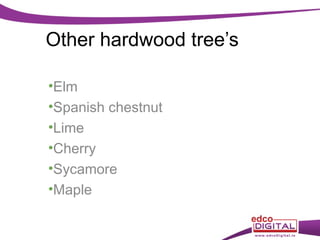 Other hardwood tree’s
•Elm
•Spanish chestnut
•Lime
•Cherry
•Sycamore
•Maple

 