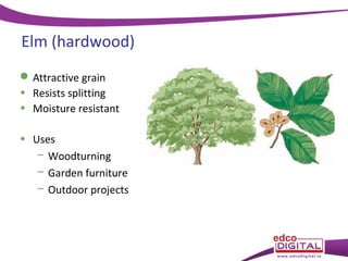 Elm (hardwood)
 Attractive grain
• Resists splitting
• Moisture resistant
• Uses
− Woodturning
− Garden furniture
− Outdoor projects

 