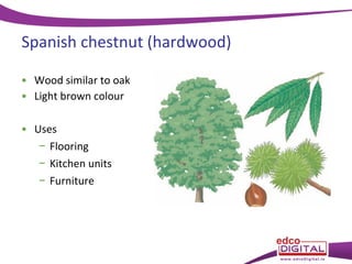 Spanish chestnut (hardwood)
• Wood similar to oak
• Light brown colour
• Uses
− Flooring
− Kitchen units
− Furniture

 