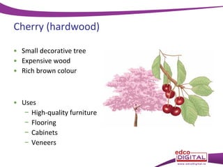 Cherry (hardwood)
• Small decorative tree
• Expensive wood
• Rich brown colour

• Uses
− High-quality furniture
− Flooring
− Cabinets
− Veneers

 
