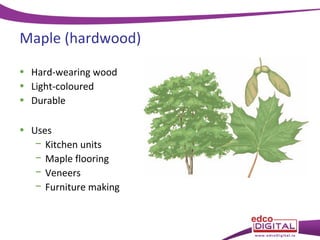 Maple (hardwood)
• Hard-wearing wood
• Light-coloured
• Durable
• Uses
− Kitchen units
− Maple flooring
− Veneers
− Furniture making

 