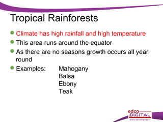 Tropical Rainforests
Climate has high rainfall and high temperature
This area runs around the equator
As there are no seasons growth occurs all year
round
Examples:
Mahogany
Balsa
Ebony
Teak

 