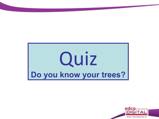 Quiz

Do you know your trees?

 