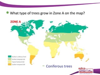 What type of trees grow in Zone A on the map?
ZONE A

− Coniferous trees

 