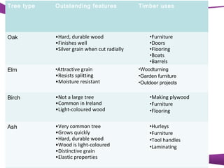 Tree type

Outstanding features

Timber uses

Oak

•Hard, durable wood
•Finishes well
•Silver grain when cut radially

Elm

•Attractive grain
•Resists splitting
•Moisture resistant

Birch

•Not a large tree
•Common in Ireland
•Light-coloured wood

•Making plywood
•Furniture
•Flooring

Ash

•Very common tree
•Grows quickly
•Hard, durable wood
•Wood is light-coloured
•Distinctive grain
•Elastic properties

•Hurleys
•Furniture
•Tool handles
•Laminating

•Furniture
•Doors
•Flooring
•Boats
•Barrels
•Woodturning
•Garden furniture
•Outdoor projects

 