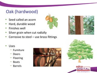 Oak (hardwood)
•
•
•
•
•

Seed called an acorn
Hard, durable wood
Finishes well
Silver grain when cut radially
Corrosive to steel – use brass fittings

• Uses
−
−
−
−
−

Furniture
Doors
Flooring
Boats
Barrels

 