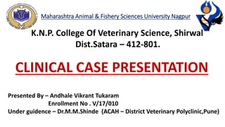 Maharashtra Animal & Fishery Sciences University Nagpur
K.N.P. College Of Veterinary Science, Shirwal
Dist.Satara – 412-801.
CLINICAL CASE PRESENTATION
Presented By – Andhale Vikrant Tukaram
Enrollment No . V/17/010
Under guidence – Dr.M.M.Shinde (ACAH – District Veterinary Polyclinic,Pune)
 