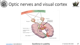 www.dadda.it roberto@dadda.it Excellence in usability 1st semester 2021-2022 27
Optic nerves and visual cortex
2
7
 