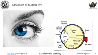 www.dadda.it roberto@dadda.it Excellence in usability 1st semester 2021-2022 4
Structure of human eye
 