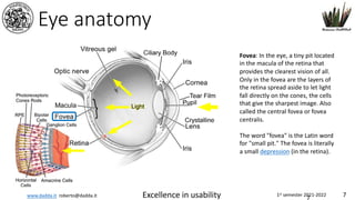 www.dadda.it roberto@dadda.it Excellence in usability 1st semester 2021-2022 7
Eye anatomy
7
Fovea: In the eye, a tiny pit located
in the macula of the retina that
provides the clearest vision of all.
Only in the fovea are the layers of
the retina spread aside to let light
fall directly on the cones, the cells
that give the sharpest image. Also
called the central fovea or fovea
centralis.
The word "fovea" is the Latin word
for "small pit." The fovea is literally
a small depression (in the retina).
 