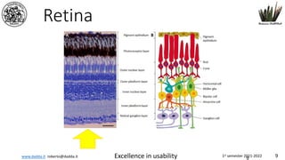 www.dadda.it roberto@dadda.it Excellence in usability 1st semester 2021-2022 9
Retina
9
 